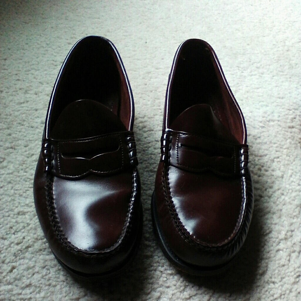 Dexter Classic Mens loafers